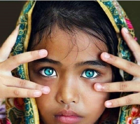 全世界最美的5双眼睛,网友评,她们的眼睛里有银河|眼睛|琥珀色|眼珠