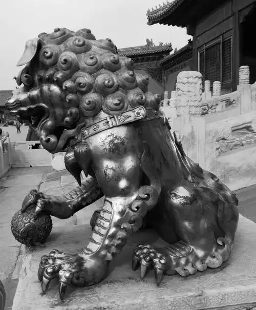 这只金色的狮子,闪闪发光的简直晃瞎我的眼睛,嘿嘿.