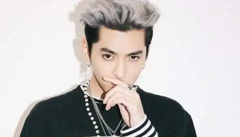 专题|吴亦凡被驱逐出境后10年内不准回中国