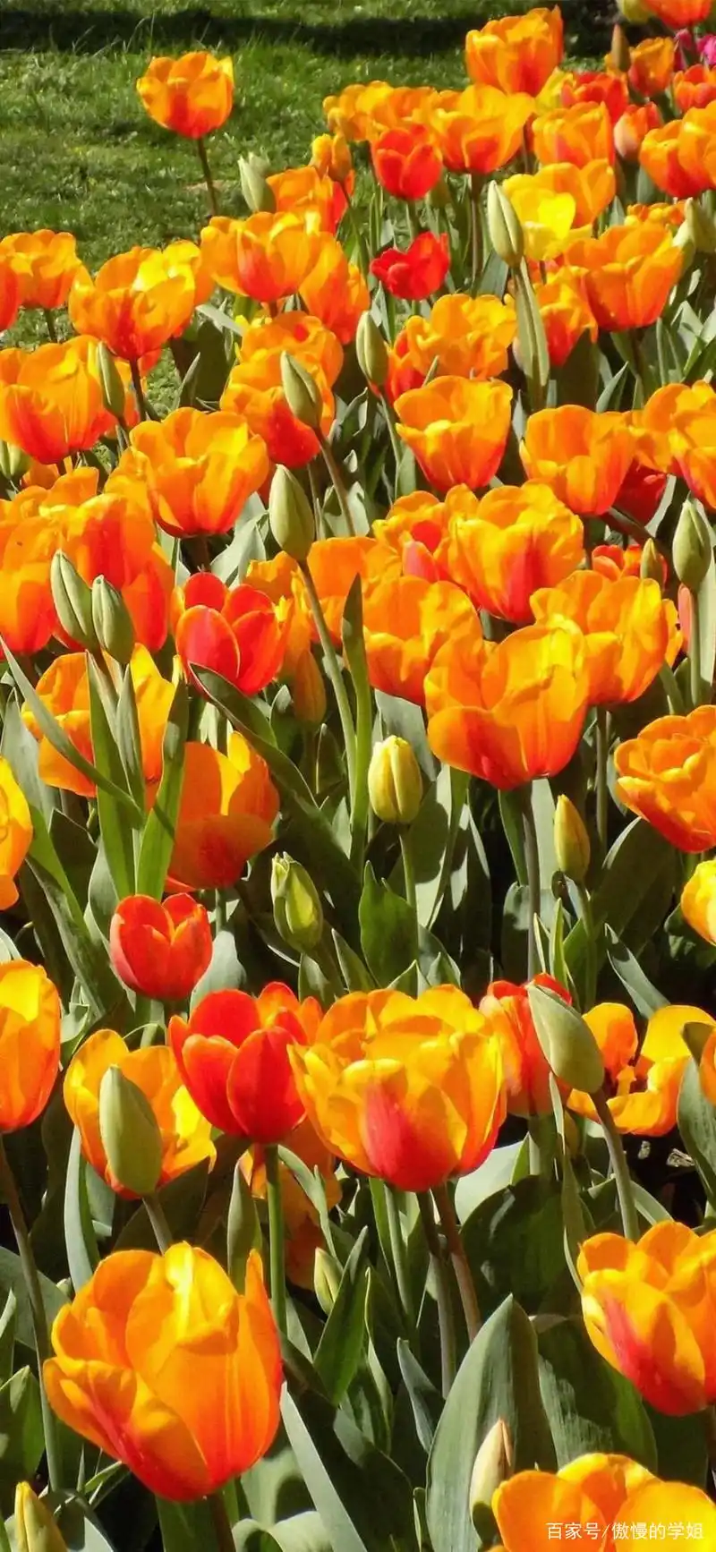 高清图好看壁纸