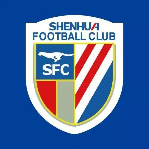 2007在经历了一系列谈判后,上海申花终于携手上海联城公布了两家