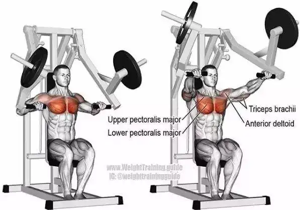 胸肌|杠铃|肌肉|俯卧撑|腹肌_网易订阅