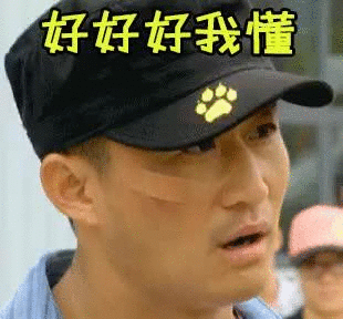 萌宠表情 萌娃表情 斗图表情 锦鲤 土味语录 套路图 来自:soogif 应用