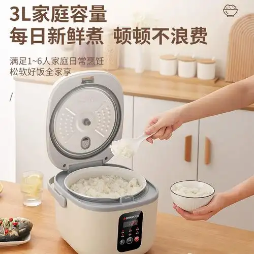 志高电饭煲家用3升小型多功能电饭锅宿舍煮饭蒸饭迷你16人饭煲