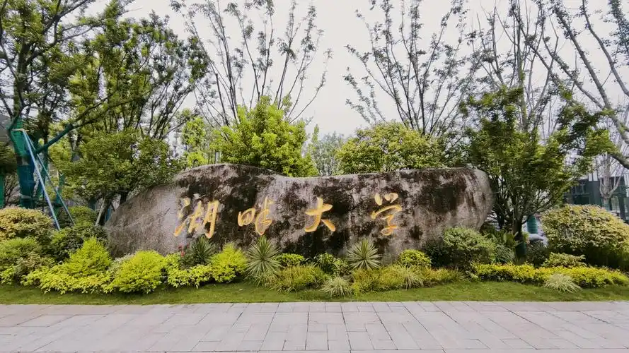 以前的湖畔大学