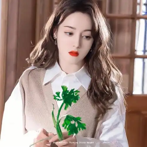 迪丽热巴的头像真好看