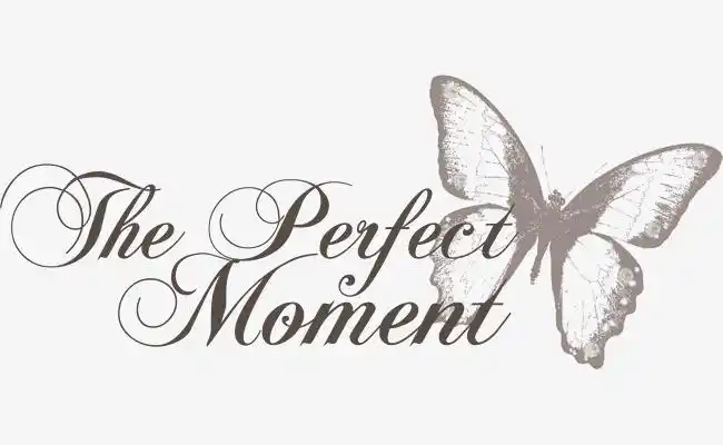 moment英文艺术字【高清艺术字体png素材】-90设计