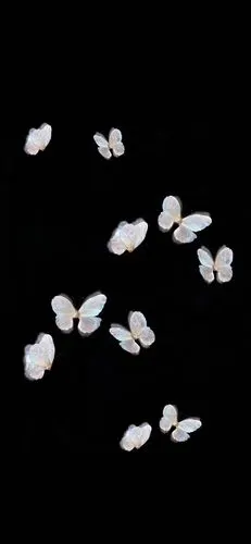 黑色蝴蝶壁纸_手机壁纸_唯美其他手机壁纸_我要个性网