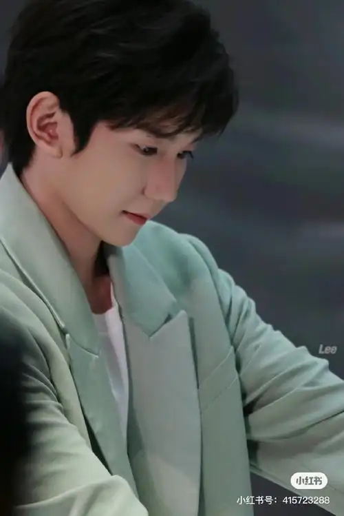 王源23岁且放青山远