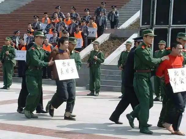 怪不得不能还给家属|刑场|死刑犯|执行死刑_网易订阅