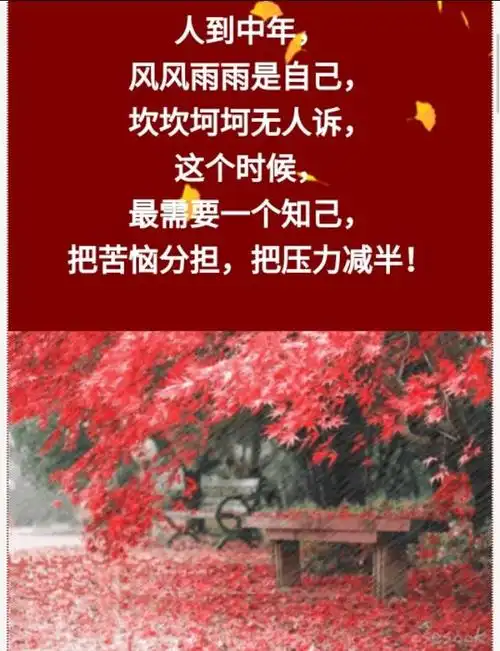 人到中年需要一个知己人到中年不容易太多的心事无人懂