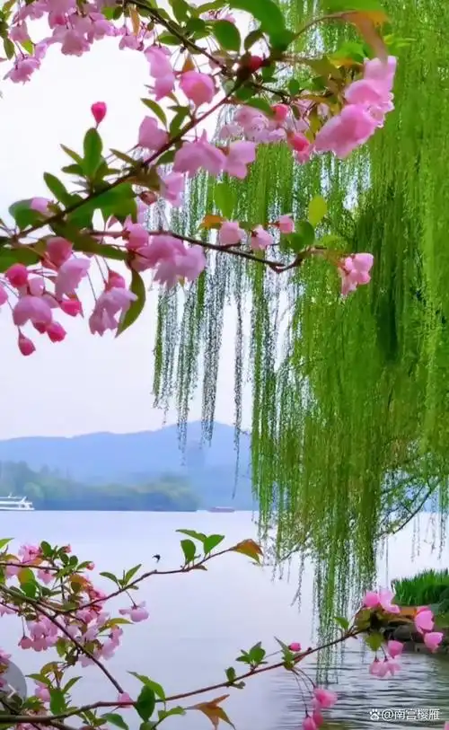 春天去看杭州的美景