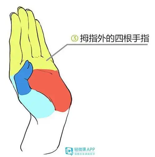 二次元漫画人物手怎么画?不同姿势手的画法教程