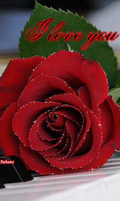 gif# #鲜花# #玫瑰# 灬铃兰灬采集