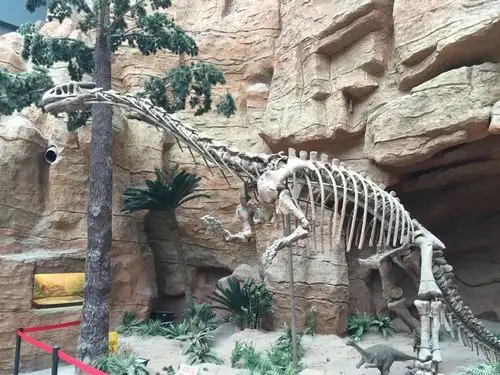 2022南京地质博物馆游玩攻略,坐车逛吃逛吃半天才到,里面... 【去哪儿