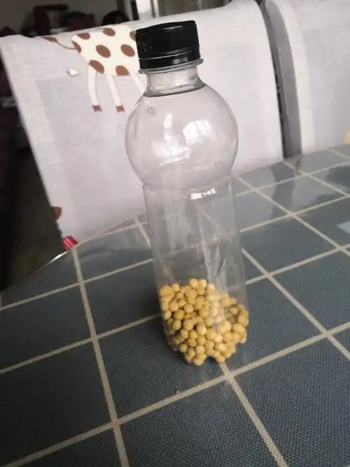把黄豆装进瓶子里,我们的小沙锤就做好了