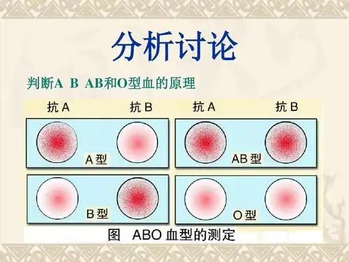 生理学实验5 abo血型的鉴定ppt