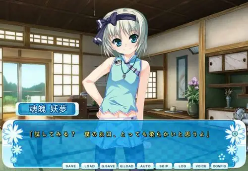 【蛋疼】伪娘gal《女装山脉》发售日秋叶原席卷一空