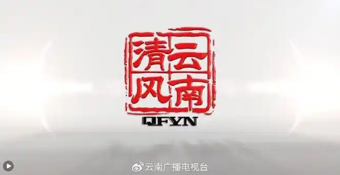 2024年清风云南第2期完整版清廉曼哈的四张名片