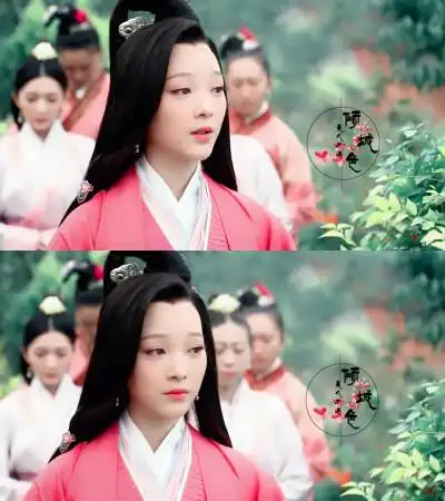 何杜娟《芈月传》【魏美人】楚怀王的宠妃.