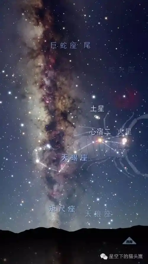 十二星座吧哪个软件好