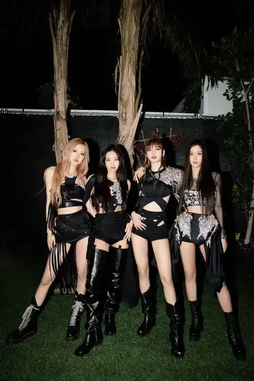 终于迎来我们的第8年!#blackpink全员续约 #粉墨登 - 抖音