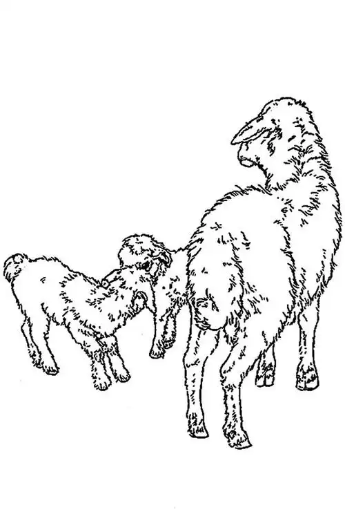 白描花鸟山羊篇