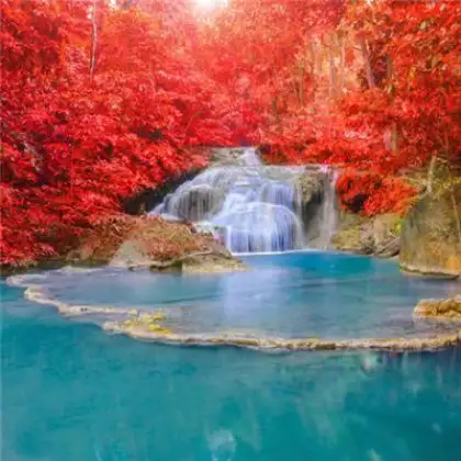 能带来好运的风景头像祝大家事事顺顺天天好运来