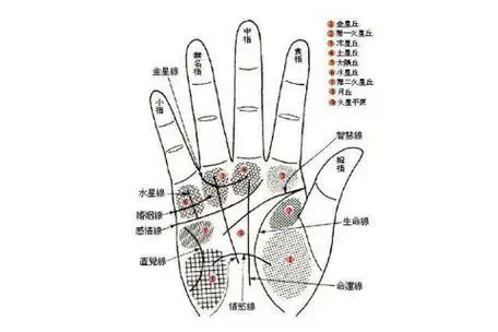 如果在未来你的另一半也是和你一样在手掌有痣的话,她的痣的右边你的
