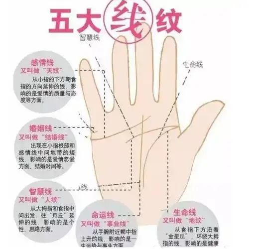 >>手相婚姻线是哪条?怎么看婚姻状况