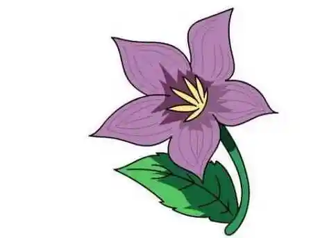 紫茉莉儿童画怎么画 简单紫茉莉简笔画步骤