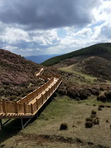 立夏行马鹿塘花海