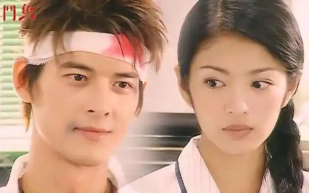 捧红了郭品超和蓝正龙,以及女主角安以轩,故事真是虐到爆炸.