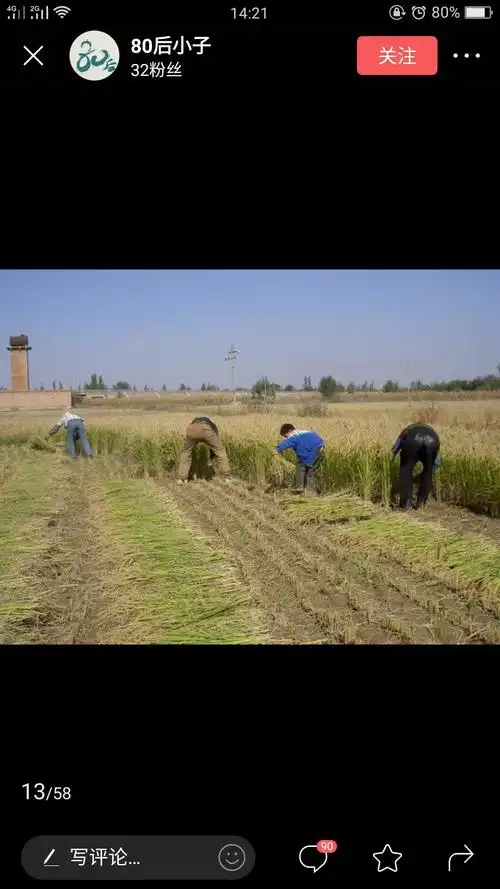 80后农村美好的童年回忆,致:我们在农村长大的孩子,青春永驻!