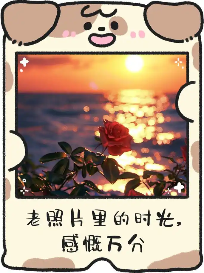 老照片里的时光,感慨万分