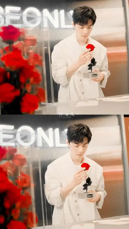 肖战与玫瑰花的适配度!