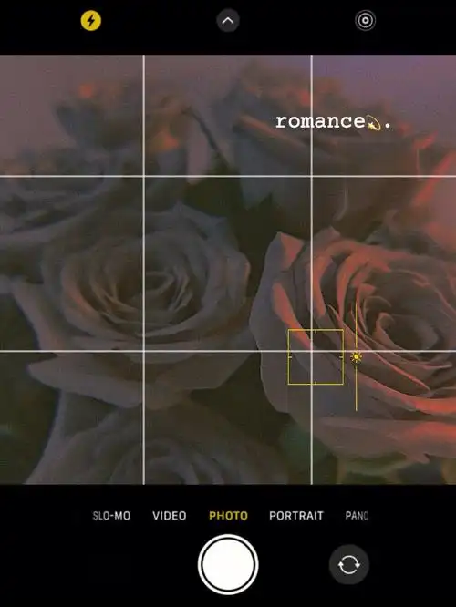 花束曼塔20枝零损耗真的是够幸运个头也大太开心了40枝玫瑰 配花=36