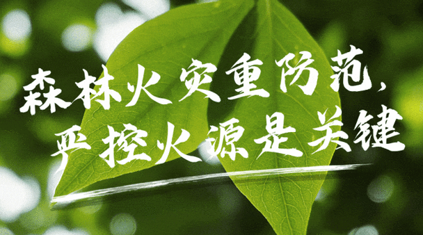 弥勒人4月22日起报名