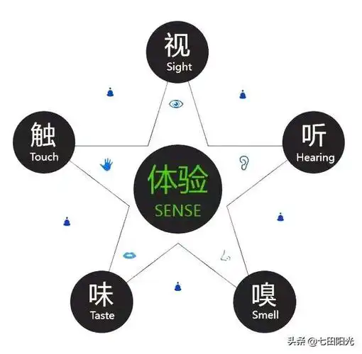 而感知觉的开发也涉及到各个感觉器官的发展与机能除去外界事物以外