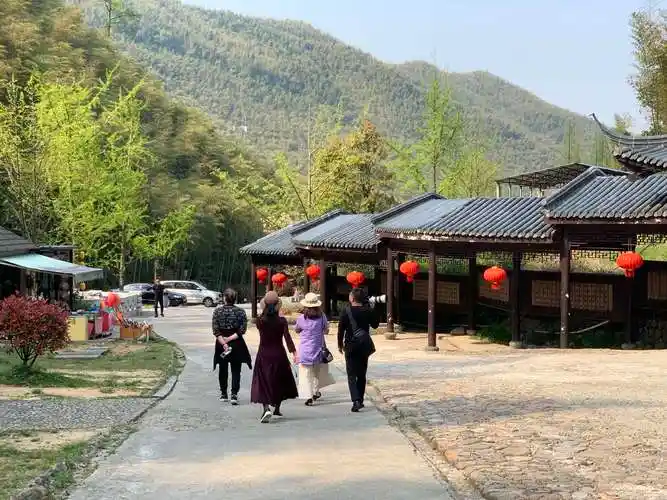 安吉大竹海卧虎藏龙