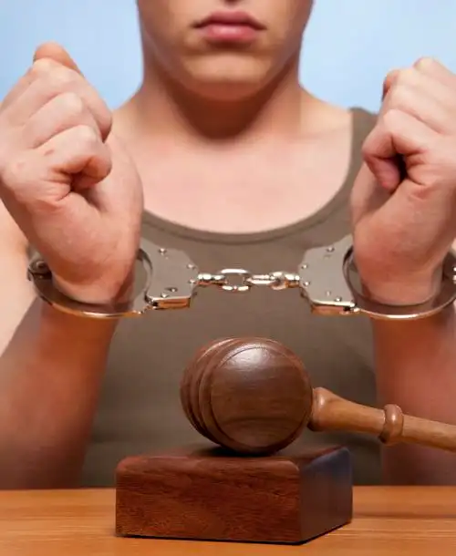 逮捕,逮捕的罪犯在法庭上