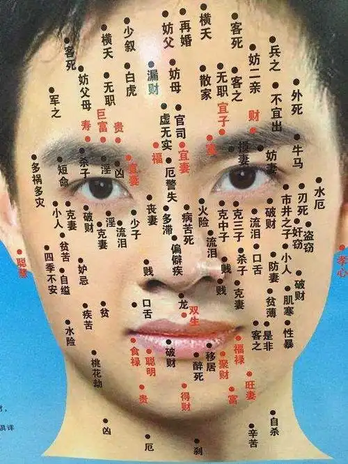 面痣图解吉凶