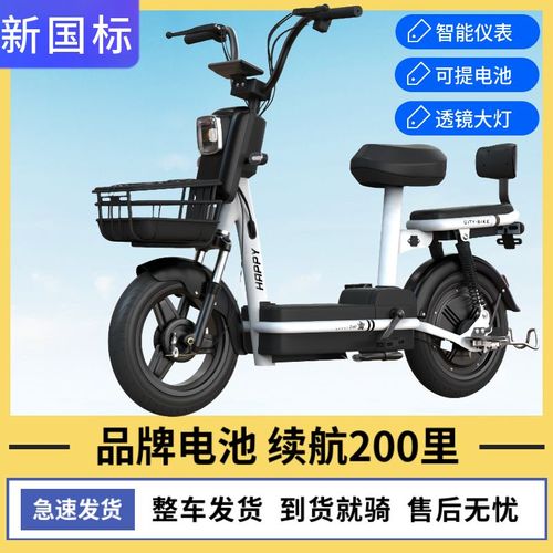 新国标电动车成人新款两轮电动自行车48v锂电池电瓶车双人代步车