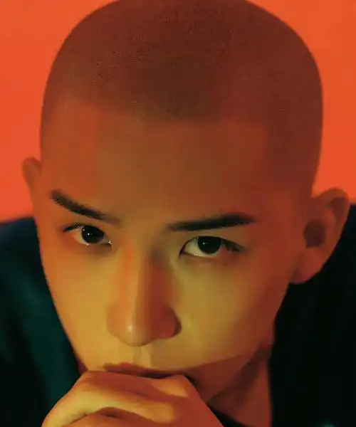 这十位明星光头造型也依旧男帅女美