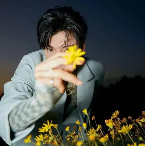 【微信头像】王子异