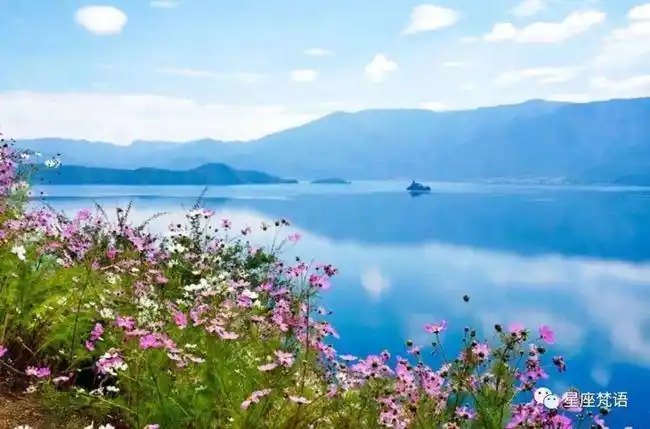 2021年好运躲不掉,一夜之间发大财!从明天起,财运上上签,翻身人上人