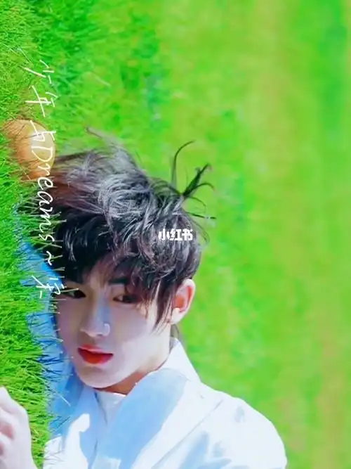 这期vlog我刷了很多次,赞91#tnt时代少年团  #马嘉祺 #丁程鑫