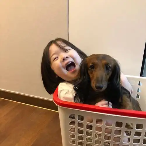 金雪妹妹头像大集锦!最爱她了!不断更新!