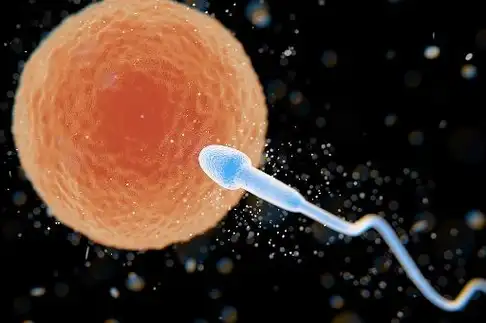 "受精卵"成功着床时,身体或许有4个"变化",希望你全有_女人_时候_体温