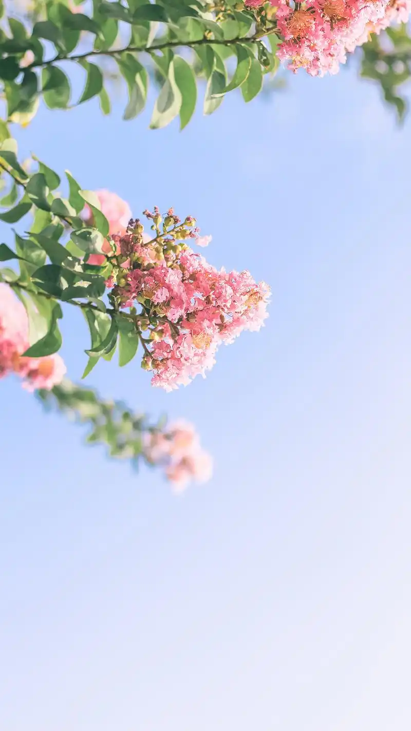 夏日小清新养眼风光高清手机壁纸